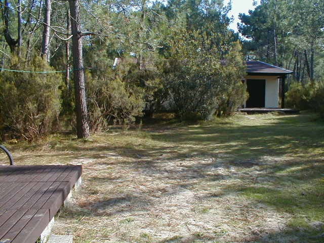 terrasse_chalet.jpg (109584 octets)