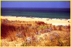 plage_arna.jpg (24758 octets)